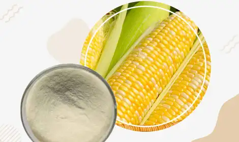 How Hydrolyzed Corn Protein is Used in Cosmetic Products?